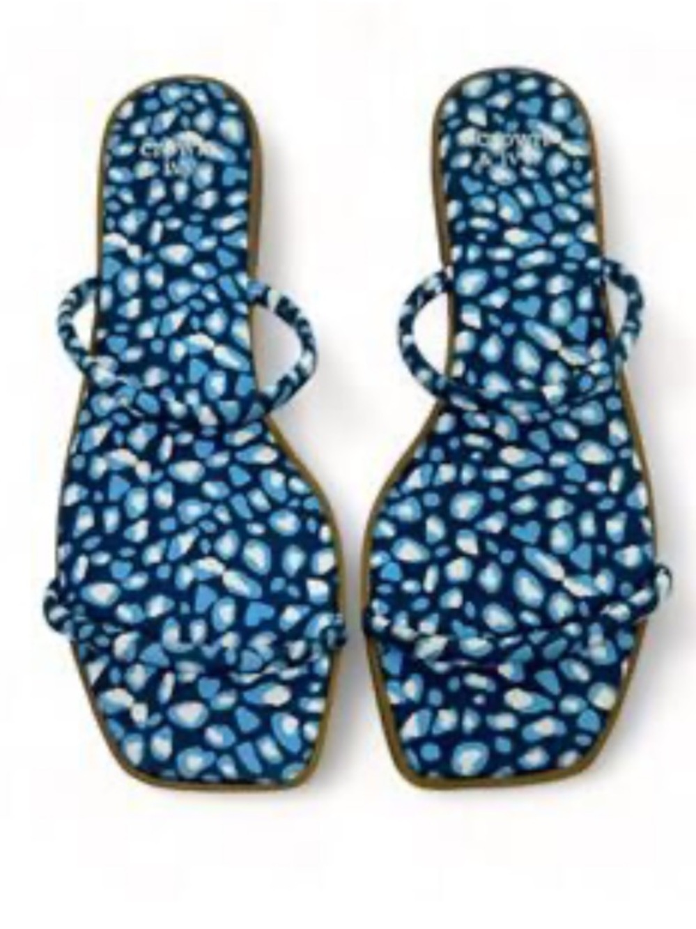 Crown & Ivy blue leopard print square toe thong 🆕